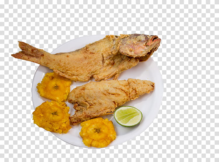 Fried Chicken, Tandoori Chicken, Ceviche, Food, Seafood, Frying, Pakistani Cuisine, Fish transparent background PNG clipart