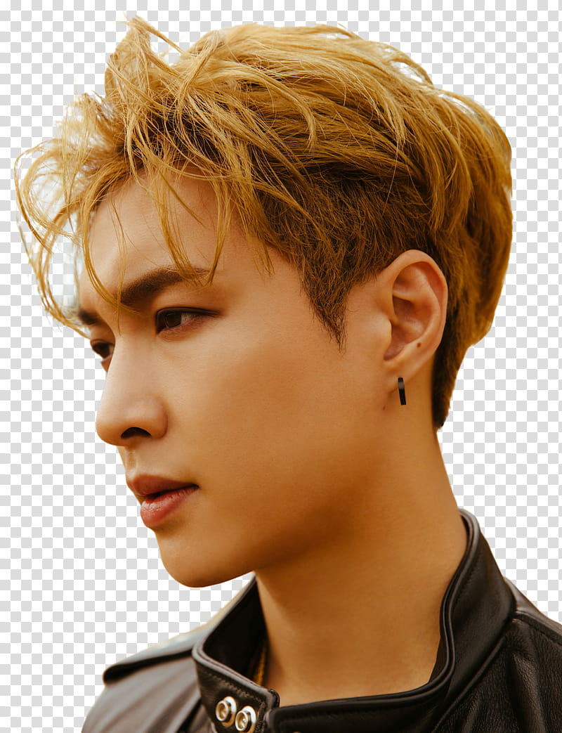 Lay EXO DMUMT transparent background PNG clipart
