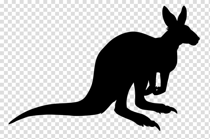 Kangaroo, RED Fox, Hare, Silhouette, Pet, Macropodidae, Wallaby, Tail transparent background PNG clipart