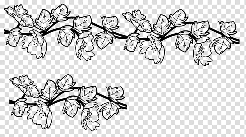 Borders Brushes, black flower transparent background PNG clipart