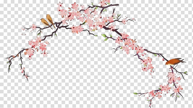Cherry Blossom Tree Drawing, Watercolor, Paint, Wet Ink, Japanese Art, Watercolor Painting, Cherries, Flower transparent background PNG clipart