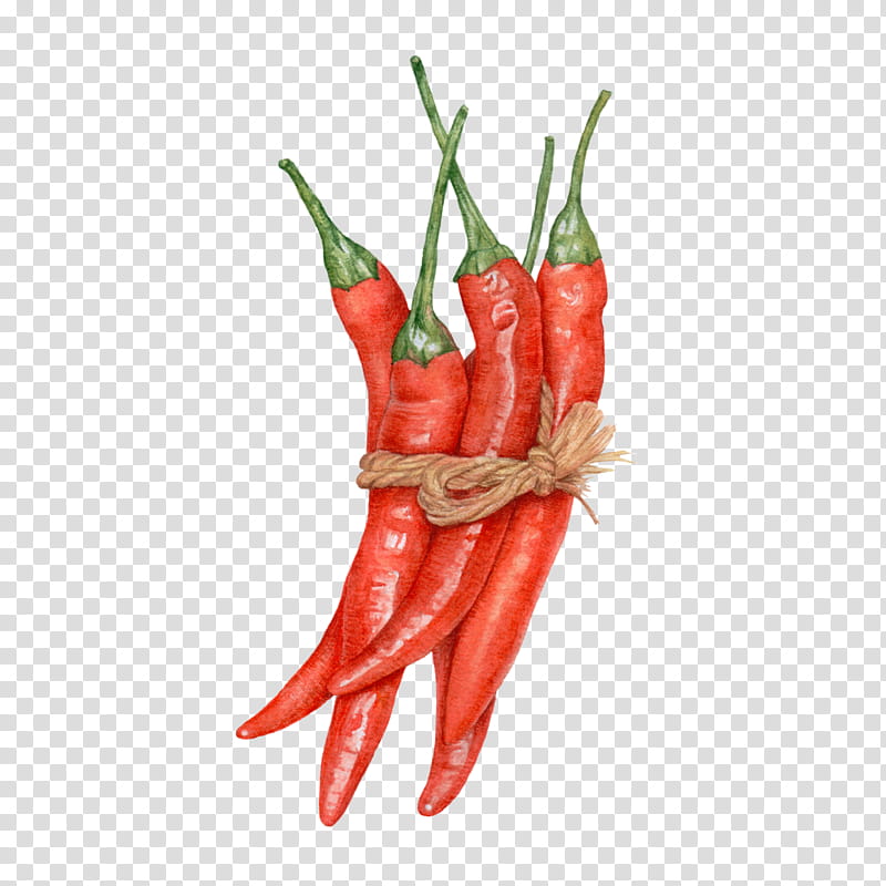 Cartoon Bird, Chili Con Carne, Chili Pepper, Bell Pepper, Peppers, Spice, Vegetable, Birds Eye Chili transparent background PNG clipart