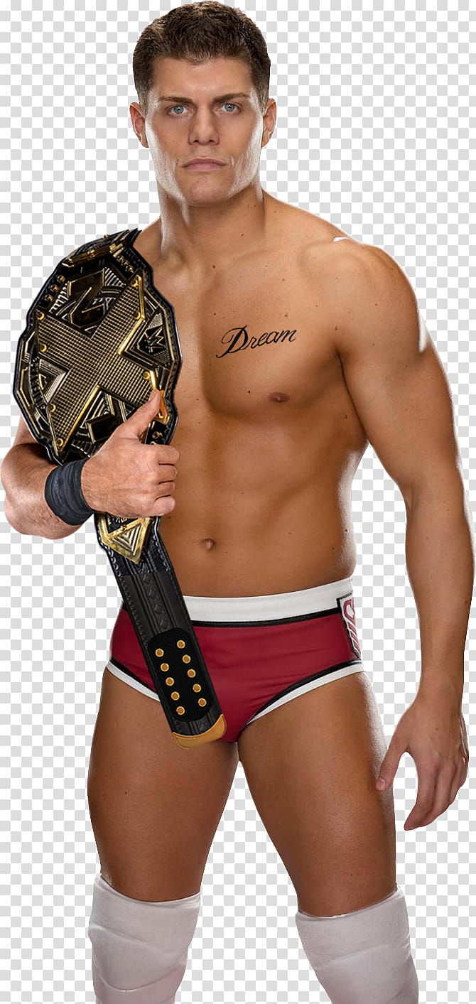 Cody Rhodes T Shirt Transparent Background Png Clipart Hiclipart - cody rhodes roblox