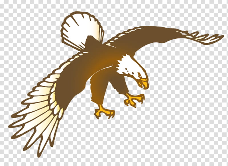 Eagle Bird, School
, National Primary School, Episd Education Center Boeing, Campus Vision, School District, Student, Prekindergarten transparent background PNG clipart