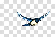 white and blue bird illustration transparent background PNG clipart