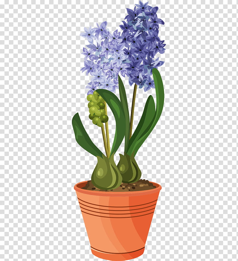 Flowers, Flowering Pot Plants, Tulip, Flowerpot, Gardening, Flower Garden, Floral Design, Garden Tool transparent background PNG clipart