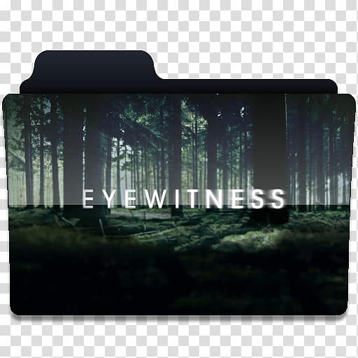 Eyewitness, Eyewitness icon transparent background PNG clipart