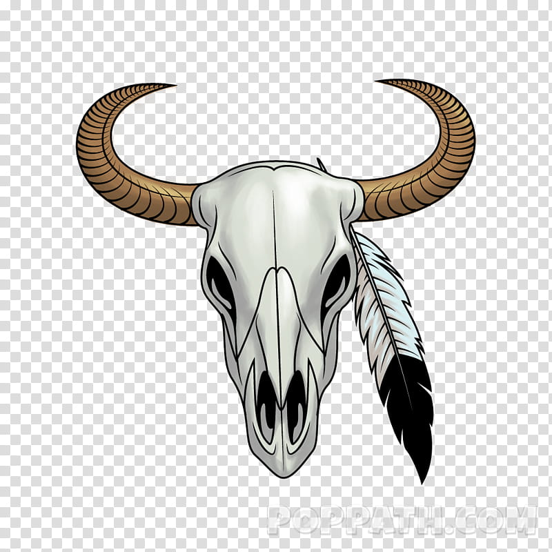 Drawing Of Family, Texas Longhorn, English Longhorn, Skull, How To Draw, Bull, Painting, Pentekening transparent background PNG clipart