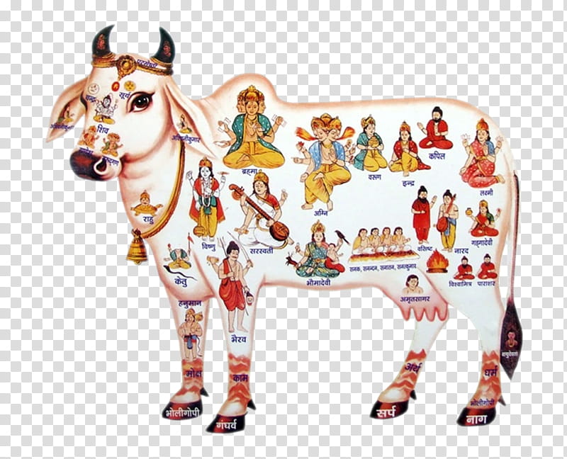 India Hinduism, Cattle In Religion And Mythology, Kamadhenu, Krishna, Holstein Friesian Cattle, Cow Dung, Milk, Cattle Slaughter In India transparent background PNG clipart