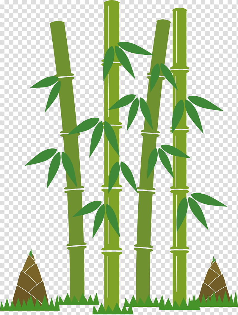 Family Tree, Tropical Woody Bamboos, Bamboo Shoot, Book, Amazon Kindle, Green, Plant Stem, Leaf transparent background PNG clipart