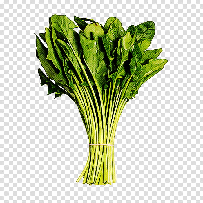 vegetable leaf vegetable choy sum plant food, Komatsuna, Spinach, Chinese Cabbage transparent background PNG clipart