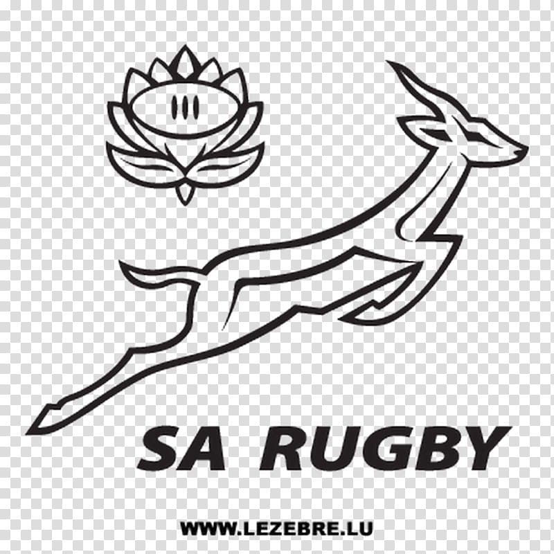 sa rugby logo