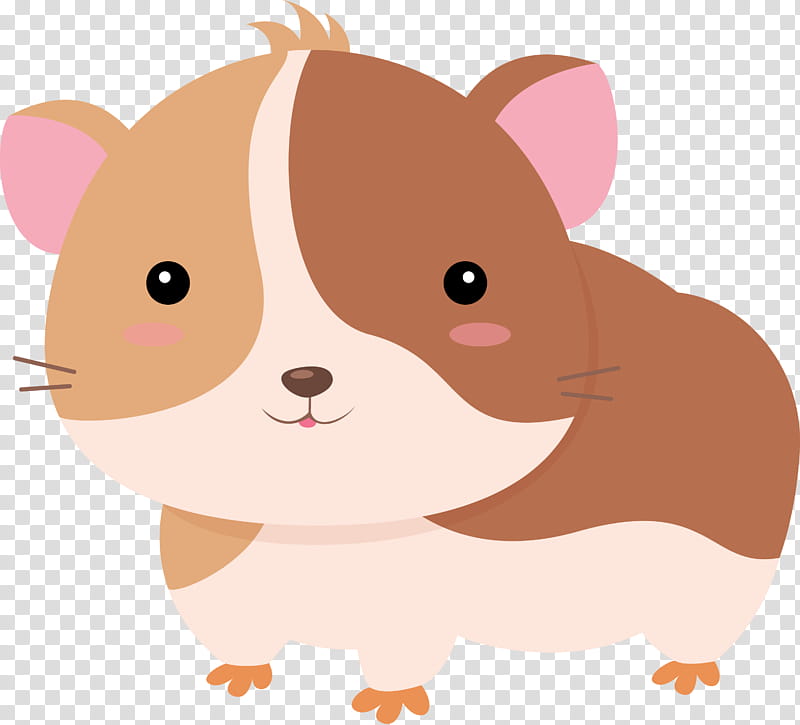 Dog And Cat, Hamster, Paper, Puppy, Kitten, Bear, Rat, Pet transparent background PNG clipart