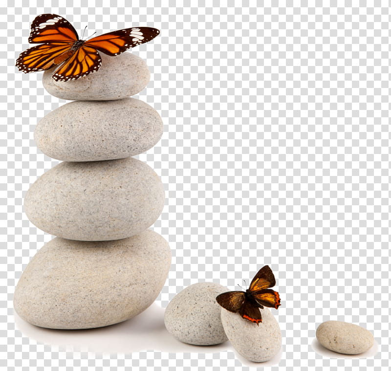 Child transparent background PNG clipart
