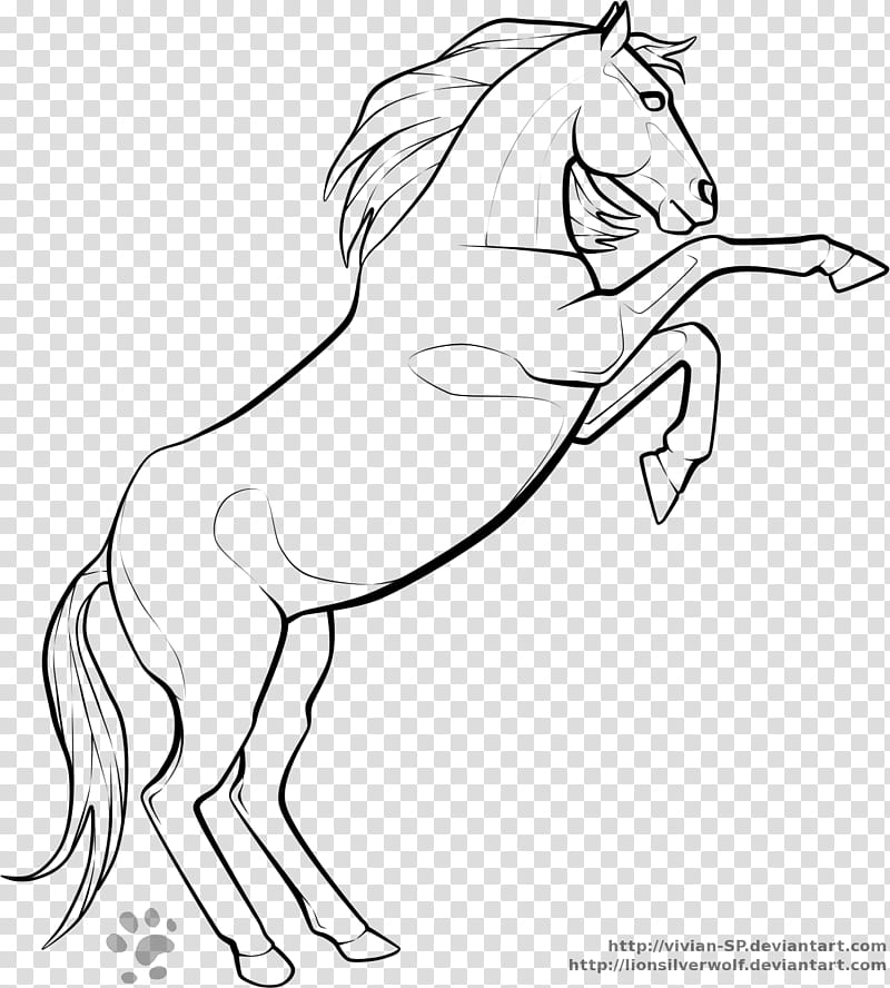 Rearing Lineart, black horse sketch transparent background PNG clipart