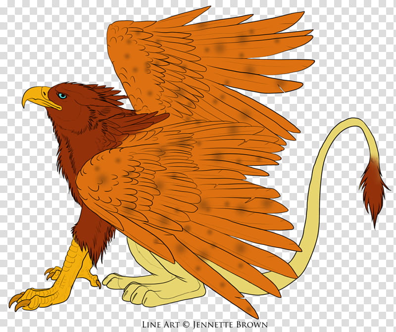 Bird Line Art, Bald Eagle, Aesthetics, Artist, Art Museum, Hawk, Lego Ninjago Masters Of Spinjitzu, Beak transparent background PNG clipart