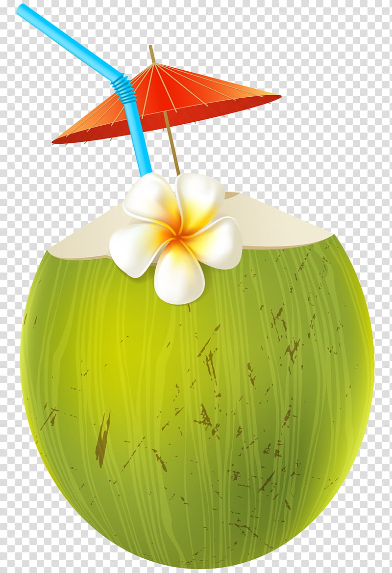 Coconut Leaf Drawing, Cocktail, Blue Hawaii, Sticker, Coconut Water, Plant, Juice transparent background PNG clipart