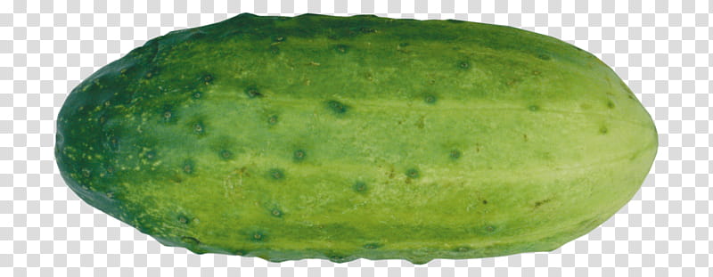 Watermelon, Pickled Cucumber, Vegetable, Pumpkin, Gourd, Green, Food, Fruit transparent background PNG clipart