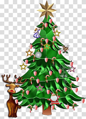 Christmas decoration, Christmas Tree, Christmas Ornament, Oregon Pine, Colorado Spruce, Holiday Ornament, Christmas 
, Evergreen transparent background PNG clipart thumbnail