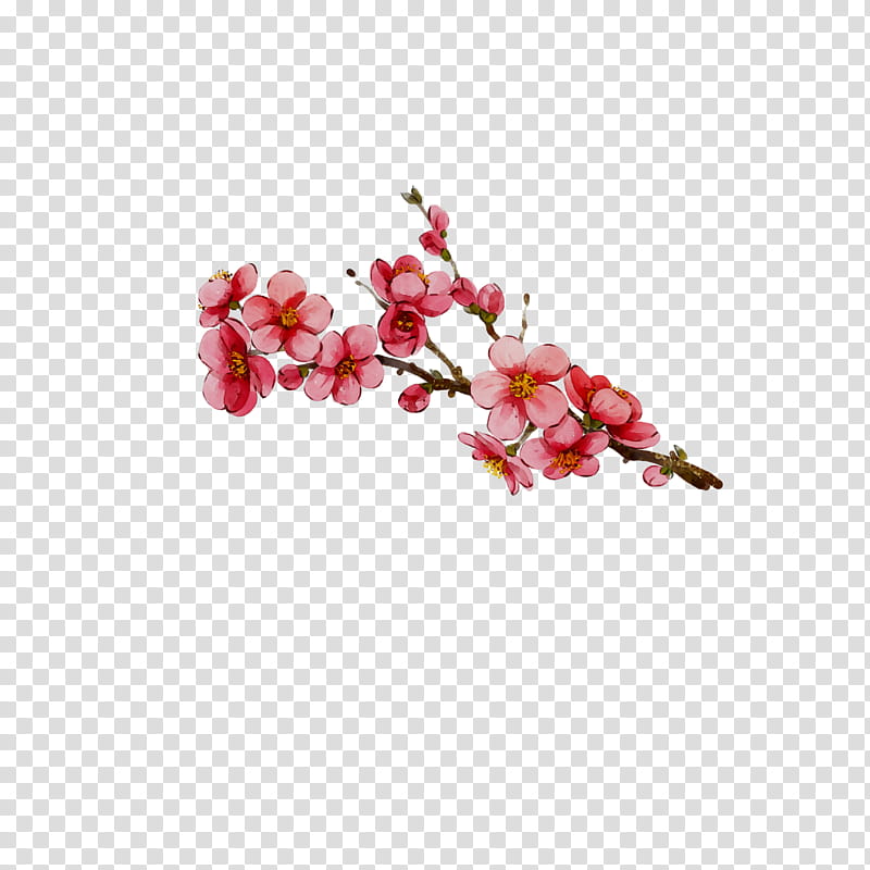 Cherry Blossom, Moth Orchids, Flower, Stau150 Minvuncnr Ad, Cut Flowers, Artificial Flower, Cherries, Pink transparent background PNG clipart