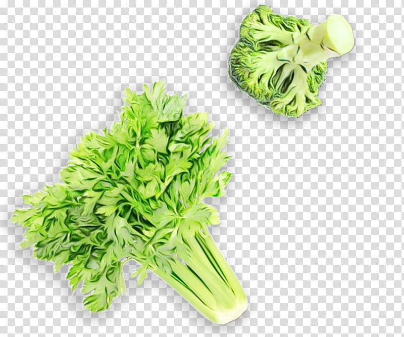 Vegetables, Parsley, Herb, Leaf Vegetable, Plant, Food, Flower, Celery transparent background PNG clipart