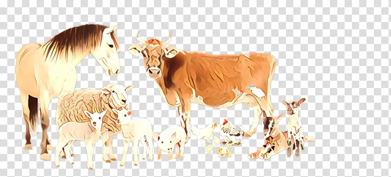 bovine cow-goat family live calf dairy cow, Cowgoat Family, Live transparent background PNG clipart