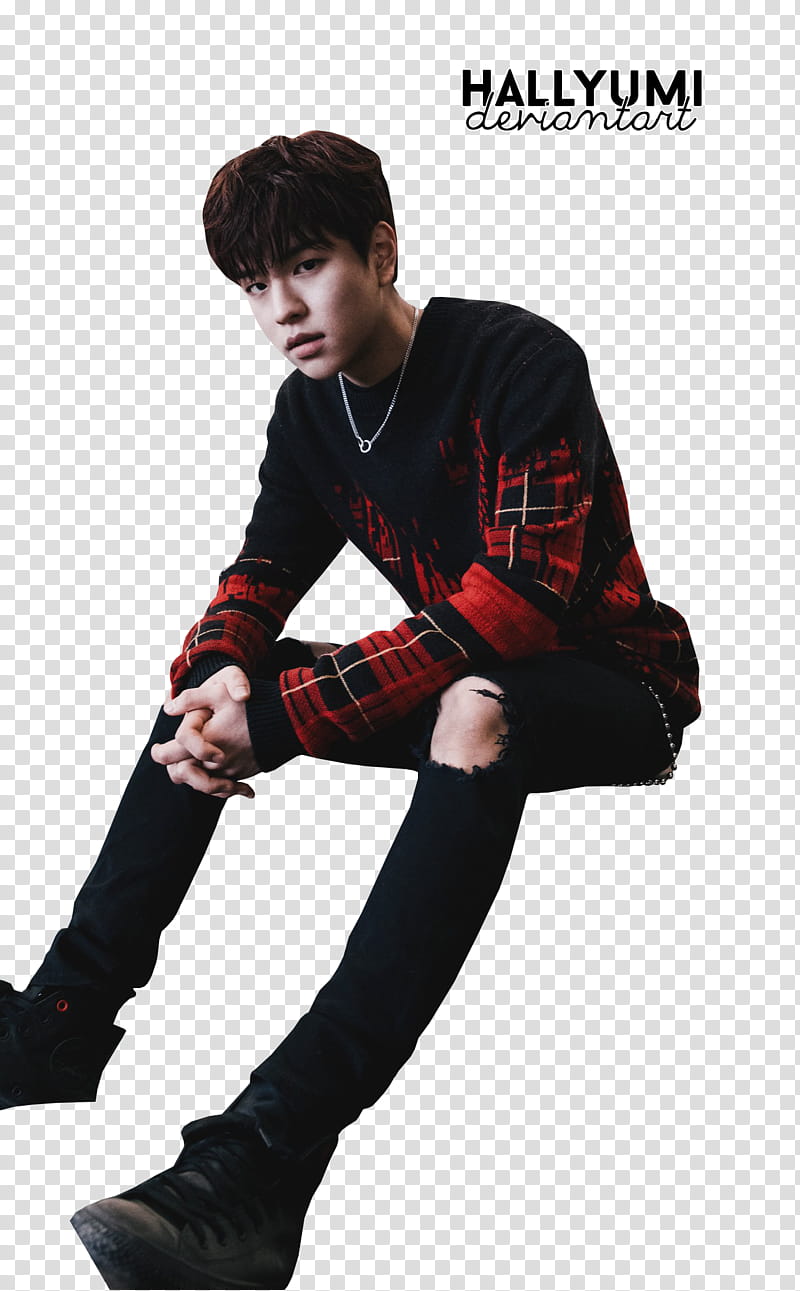 Stray Kids I am Not, man wearing red and black plaid sweater and black pants transparent background PNG clipart