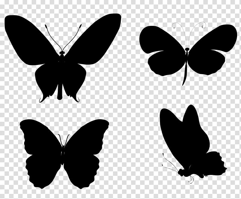 Butterfly Black And White, Monarch Butterfly, Insect, Silhouette, Drawing, Symbol, Brushfooted Butterflies, Borboleta transparent background PNG clipart