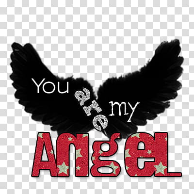 You are my angel, you are my angel text transparent background PNG clipart