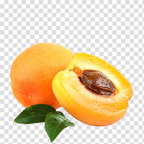 fruit food european plum plant apricot, Loquat, Tree, Peach, Ingredient transparent background PNG clipart