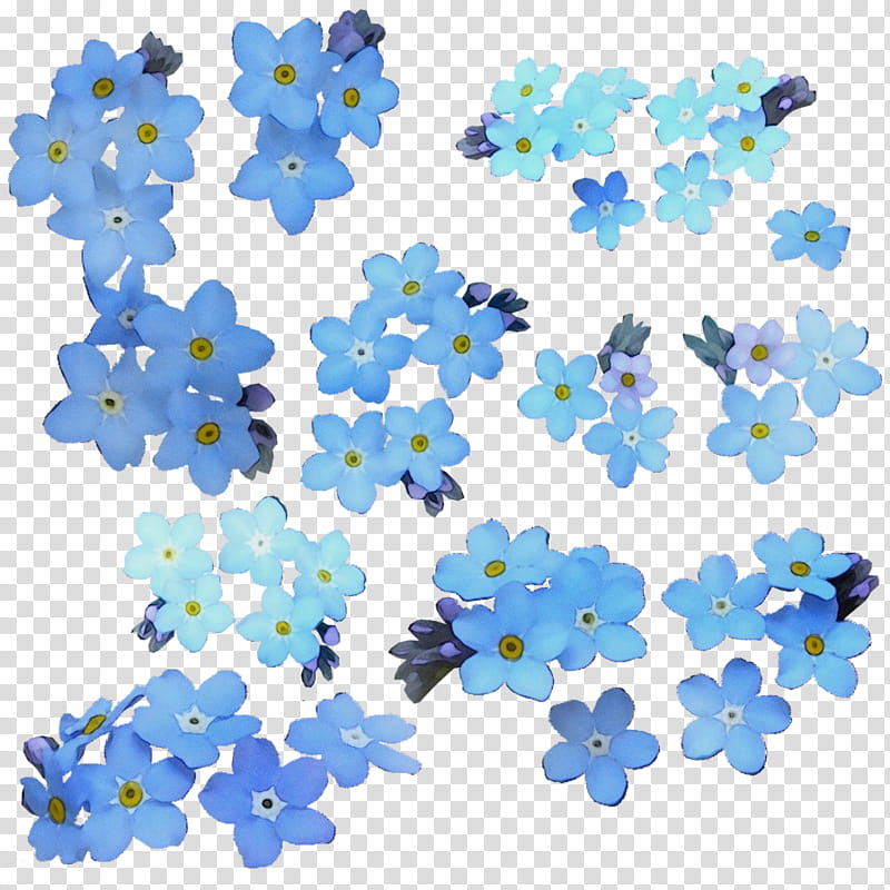 blue flower plant pattern, Watercolor, Paint, Wet Ink, Borage Family, Petal transparent background PNG clipart