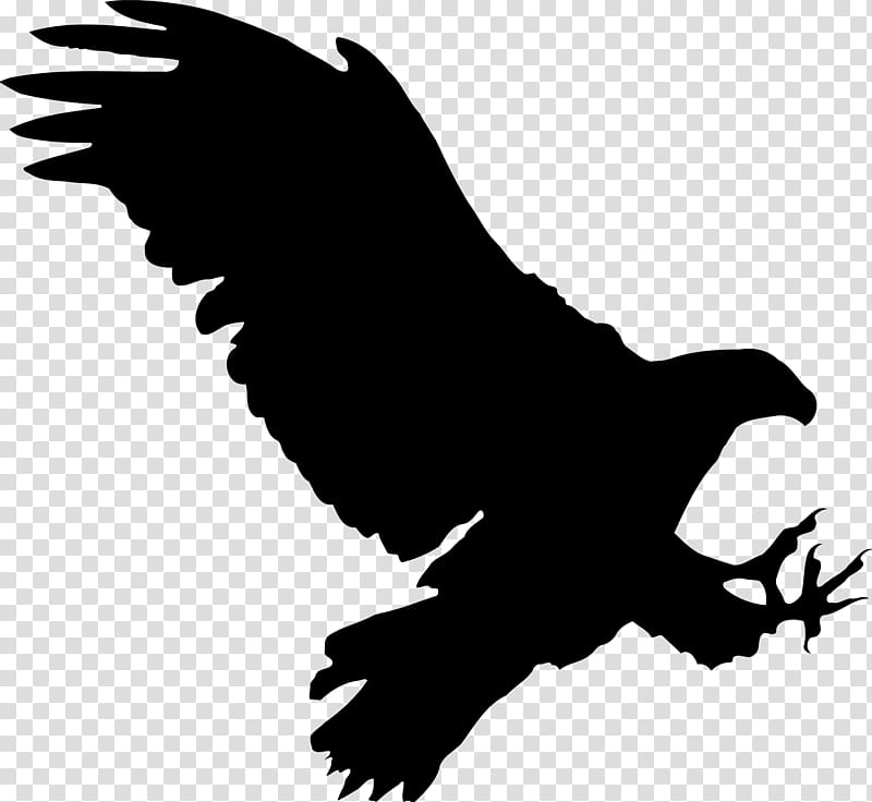 Eagle Bird, Silhouette, Streaming Media, Drawing, 2018, Beak, Bird Of Prey, Claw transparent background PNG clipart