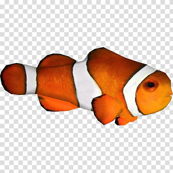 Painting, Clownfish, Clarks Anemonefish, Saltwater Fish, Aquarium, Orange, Seafood transparent background PNG clipart