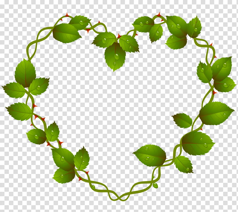 valentines day heart, Leaf, Green, Plant, Flower, Ivy, Ivy Family transparent background PNG clipart