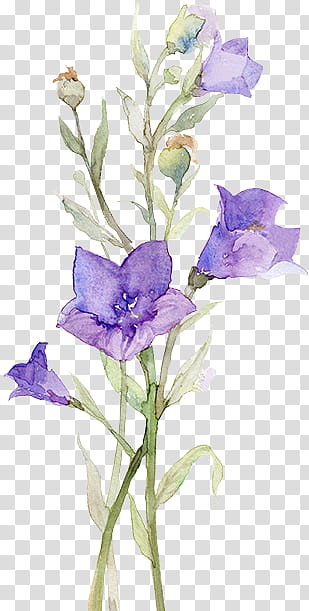 Watercolor Flower, green and purple blooming flower painting transparent background PNG clipart