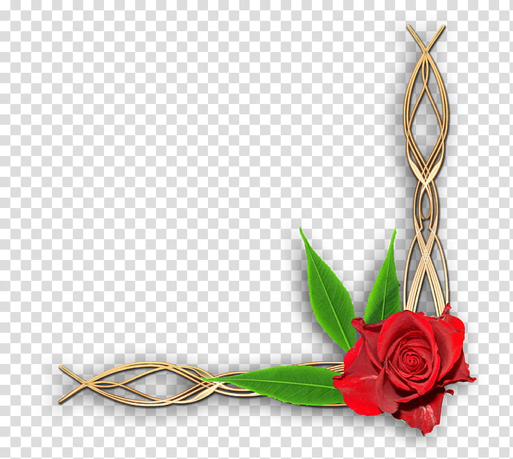Flowers, Decorative Corners, cdr, Red, Rose, Plant, Leaf, Cut Flowers transparent background PNG clipart