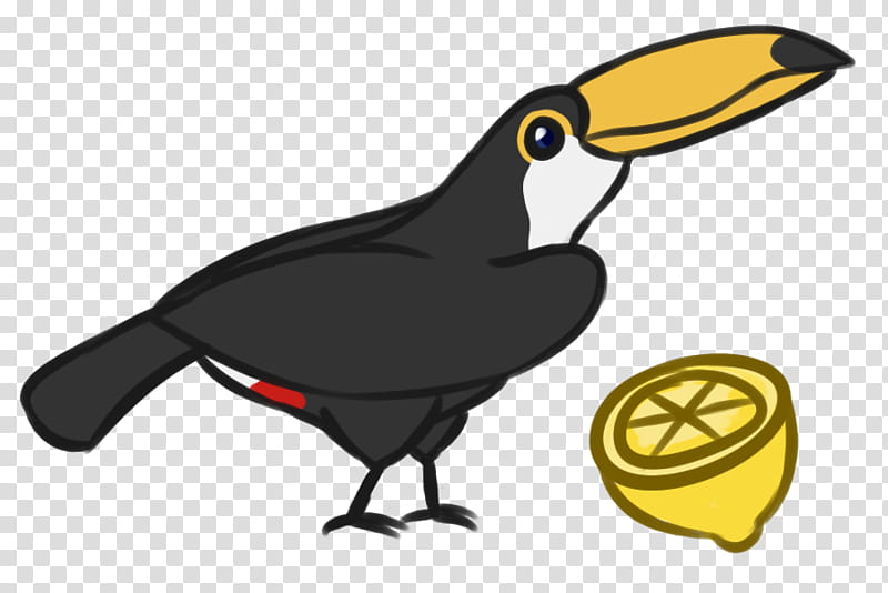 Hornbill Bird, Beak, Toucan, Animal, Exotic Pet, Drawing, Cartoon, Crow transparent background PNG clipart