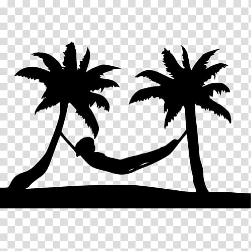 Tree Branch Silhouette, Palm Trees, Date Palm, Logo, Coconut, Asian Palmyra Palm, Under Palm Trees, Post Cards transparent background PNG clipart