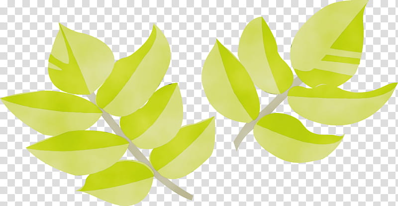 leaf green plant yellow flower, Watercolor, Paint, Wet Ink, Wood Sorrel Family transparent background PNG clipart