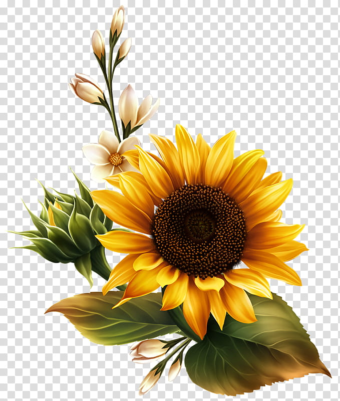 Bouquet Of Flowers Drawing, Painting, Sunflower, Watercolor Painting, Artist, Common Sunflower, Plant, Yellow transparent background PNG clipart