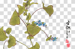 Blues Secret Garden Library transparent background PNG clipart thumbnail