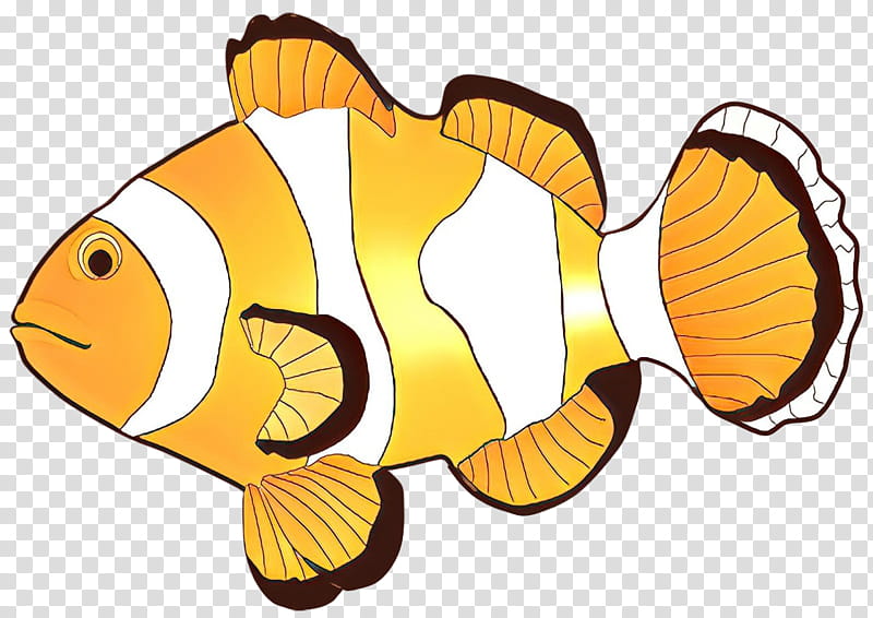 Coral Reef, Fish, BORDERS AND FRAMES, Clownfish, Fishing, Anemone Fish, Pomacentridae, Pomacanthidae transparent background PNG clipart