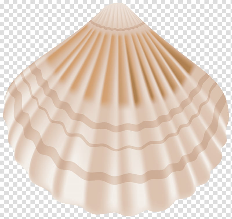 Seashell White, Mollusc Shell, Conch, Drawing, Caracola, Clam, Bivalve, Cockle transparent background PNG clipart