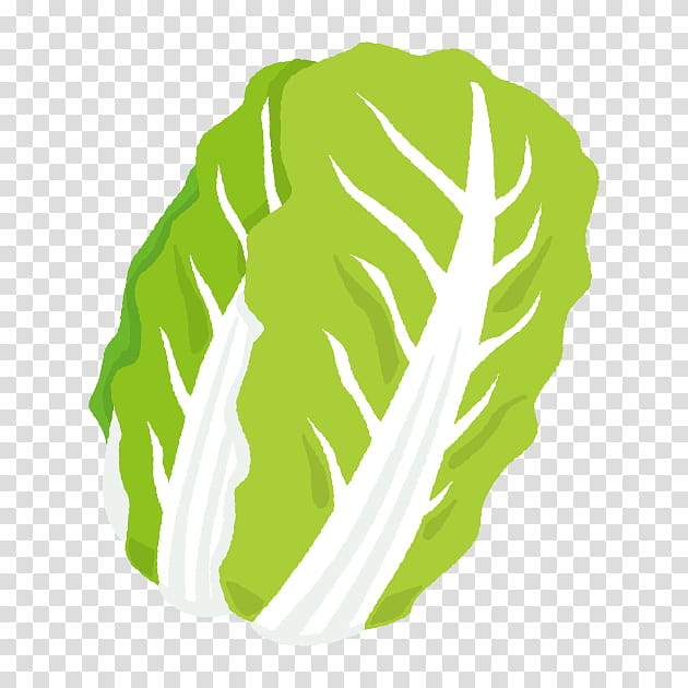 Green Leaf Logo, Napa Cabbage, Greens, Vegetable, Welsh Onion, Sprouting Broccoli, Chinese Cabbage, Drawing transparent background PNG clipart