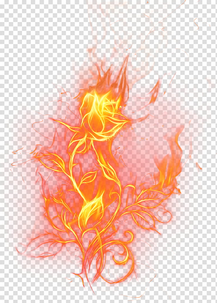 Flower Drawing, Fire, Flame, Combustion, Orange, Petal, Still Life transparent background PNG clipart