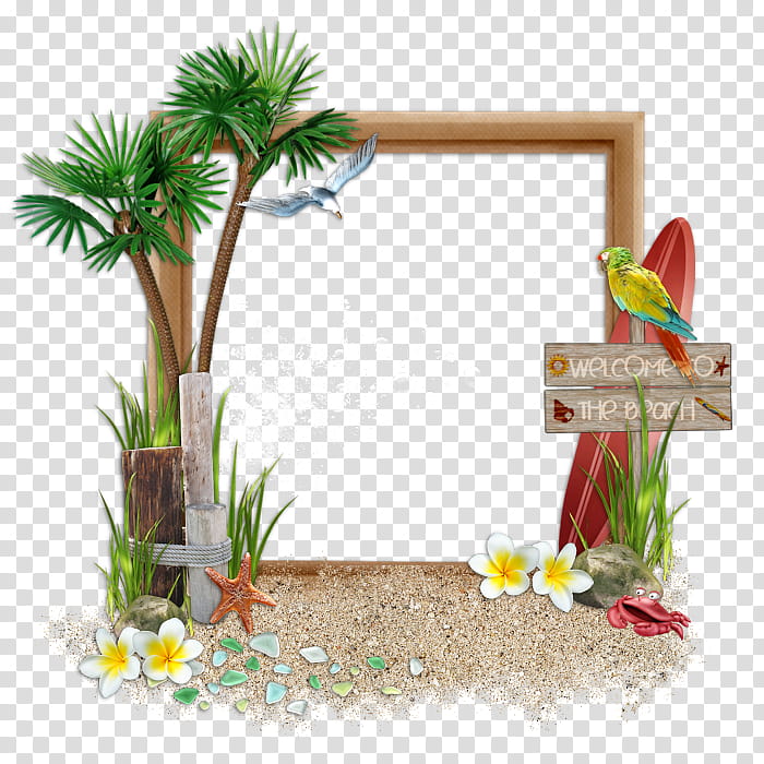 Cartoon Palm Tree, Flora, Up, August, Sea, July, Advertising, September 4 transparent background PNG clipart