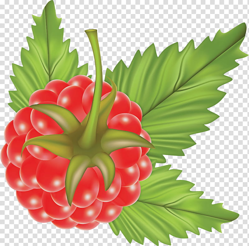 Artificial flower, Leaf, Plant, Berry, Fruit, Natural Foods, Alpine Strawberry, Seedless Fruit transparent background PNG clipart