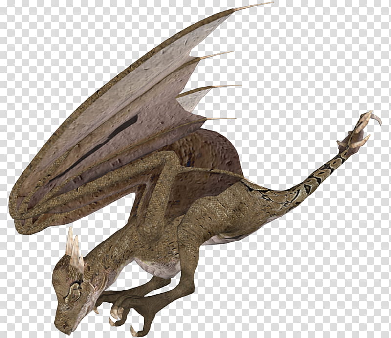 wyvern , gray dragon illustration transparent background PNG clipart