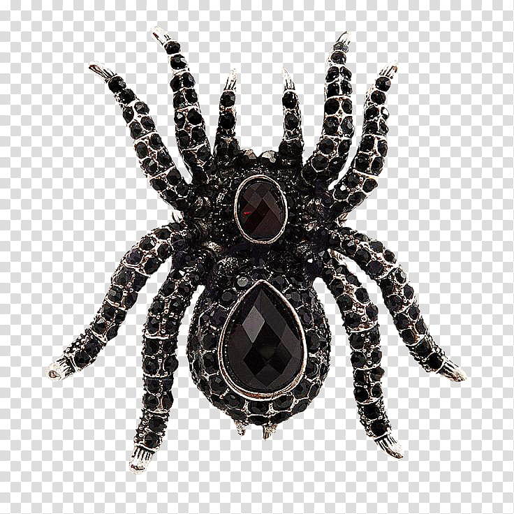 Insect Jewelry s, black gemstone encrusted silver-colored spider brooch transparent background PNG clipart