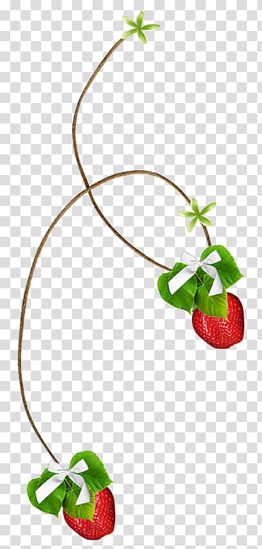 Apple Tree, Strawberry, Fruit, Strawberry Tree, Berries, Musk Strawberry, Accessory Fruit, Food transparent background PNG clipart